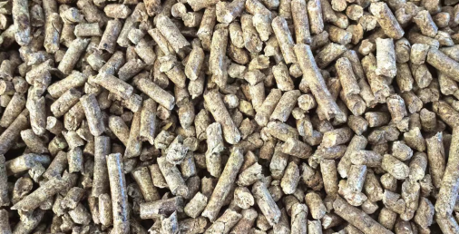 什么是生物質新能源？