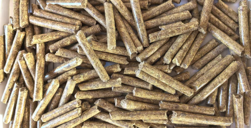 生物質燃料到底是如何進行燃燒的呢？