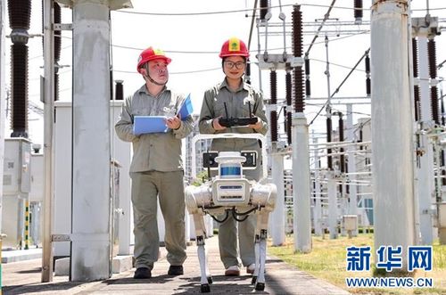 智能巡檢守護電網動脈 荊州智能裝備提升供電可靠性